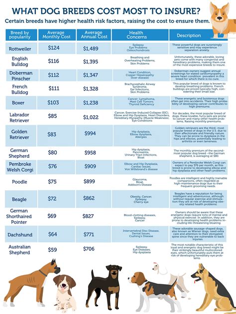 pet insurance no upfront cost.